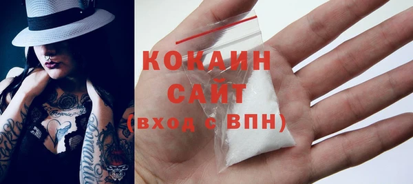 стаф Дмитриев