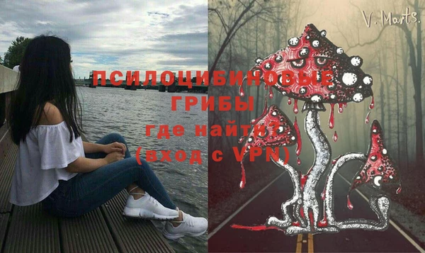 MESCALINE Дмитров
