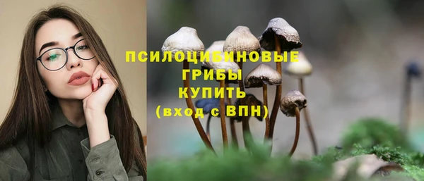 стаф Дмитриев