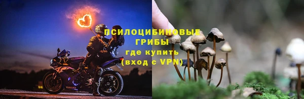 молекула духа Нея