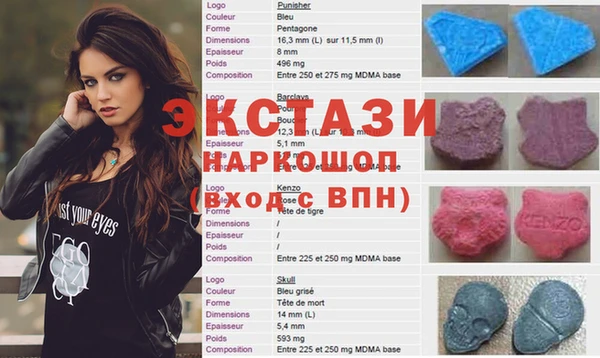 стаф Дмитриев