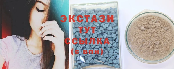 МДПВ Гусев