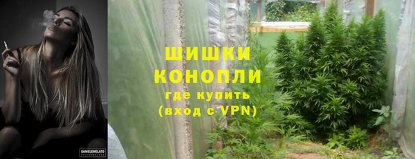 стаф Нефтегорск
