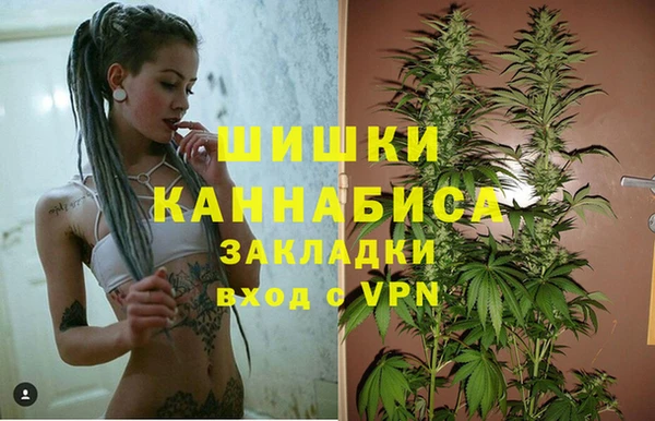 МДПВ Гусев